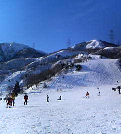 見よ！この銀世界♪